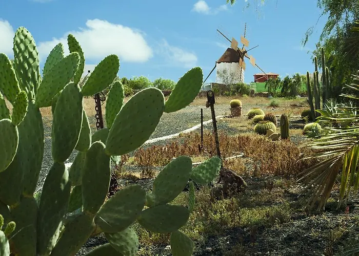 Rural Era De La Corte - Adults Only Летний дом *