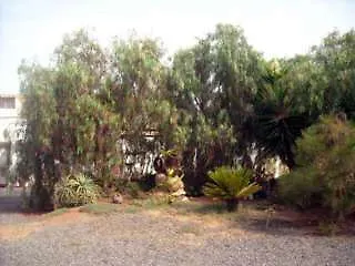 Gospodarstwo wiejskie Rural Era De La Corte - Adults Only Antigua (Fuerteventura)